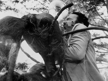 �������-������� ���� � �����