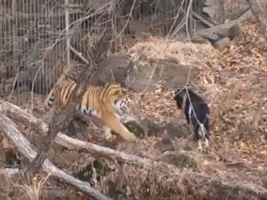 ��������� �������� ������� ����� ������� ����� � �����