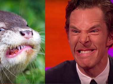 ���������� ��������� ���� ����� 